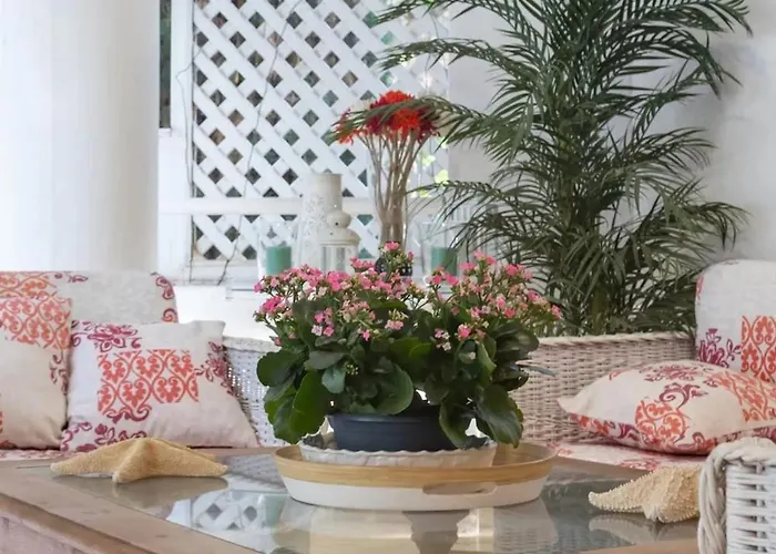 Modern In With Shared Pool * 马尔韦利亚